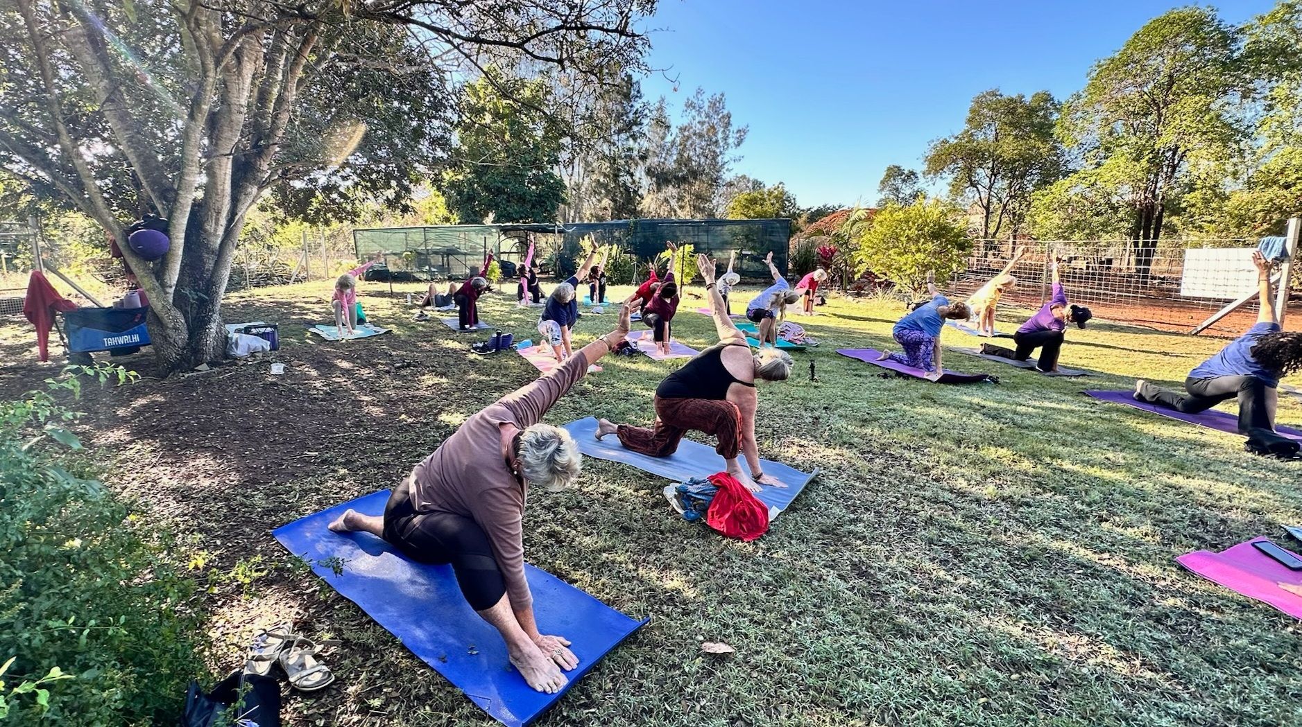 People doing yoga on mats in a sunny park with trees and grass.