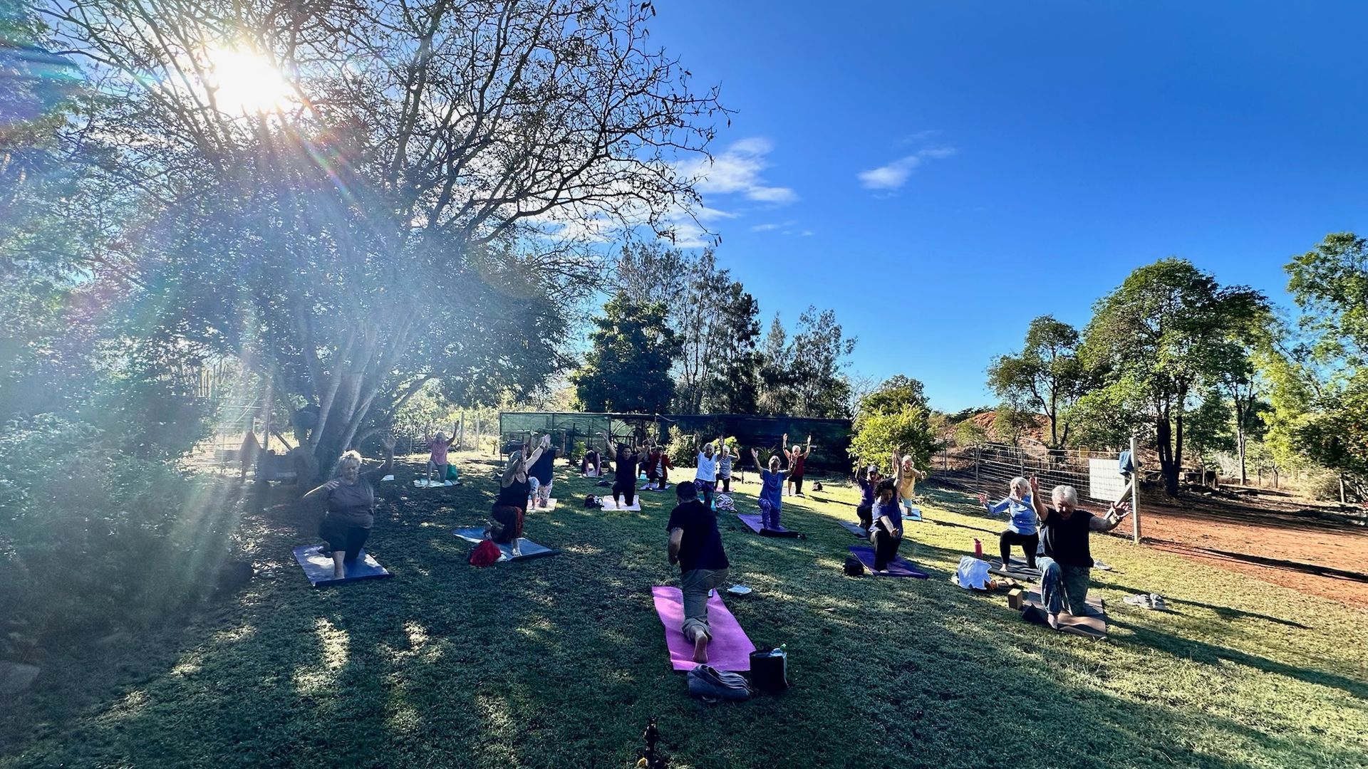 People sitting on blankets in a sunny park under trees, with a bright blue sky and sun glare.