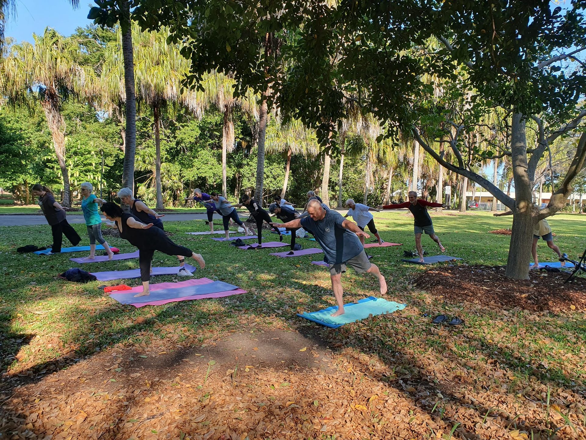 People Practising Yoga Outdoors on Mats, Under Trees, in a Park — Skilful Living in North Ward, QLD