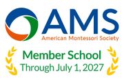 AMS Logo
