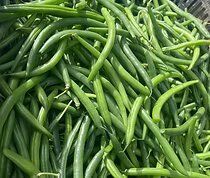 beans