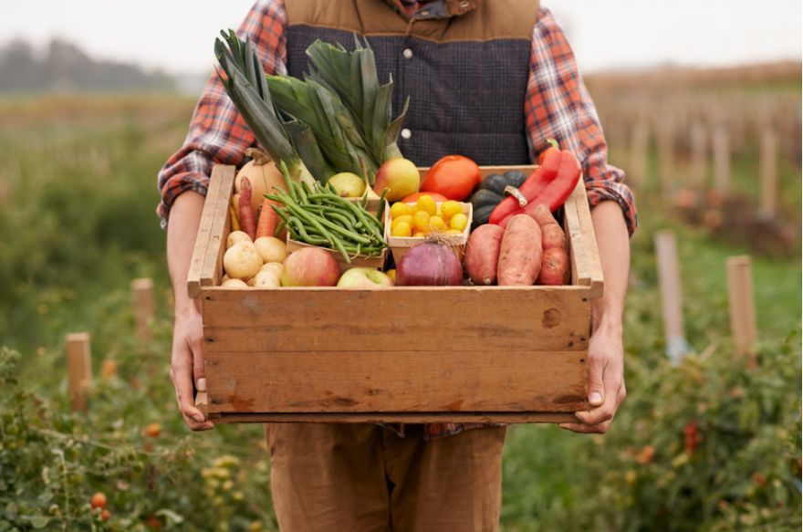 montessori child holding a box of vegetables