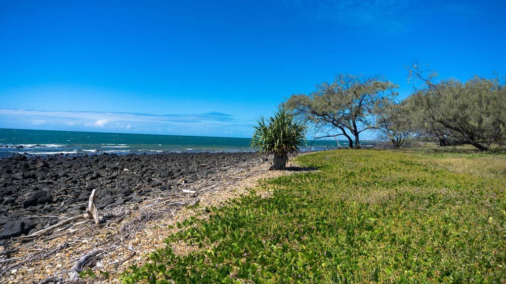 A Small Grassy Area Next To A Rocky Beach With A Tree In The Foreground — Wide Bay Hydraulics in Tin Can Bay, QLD