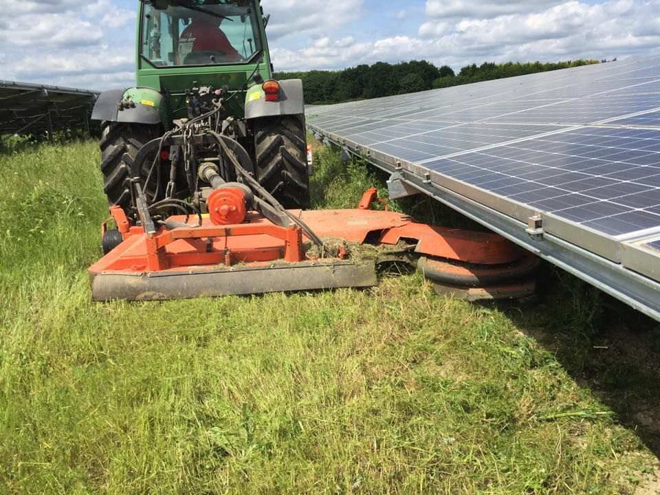 A tractor mowing tall grass near solar panels on a sunny day.