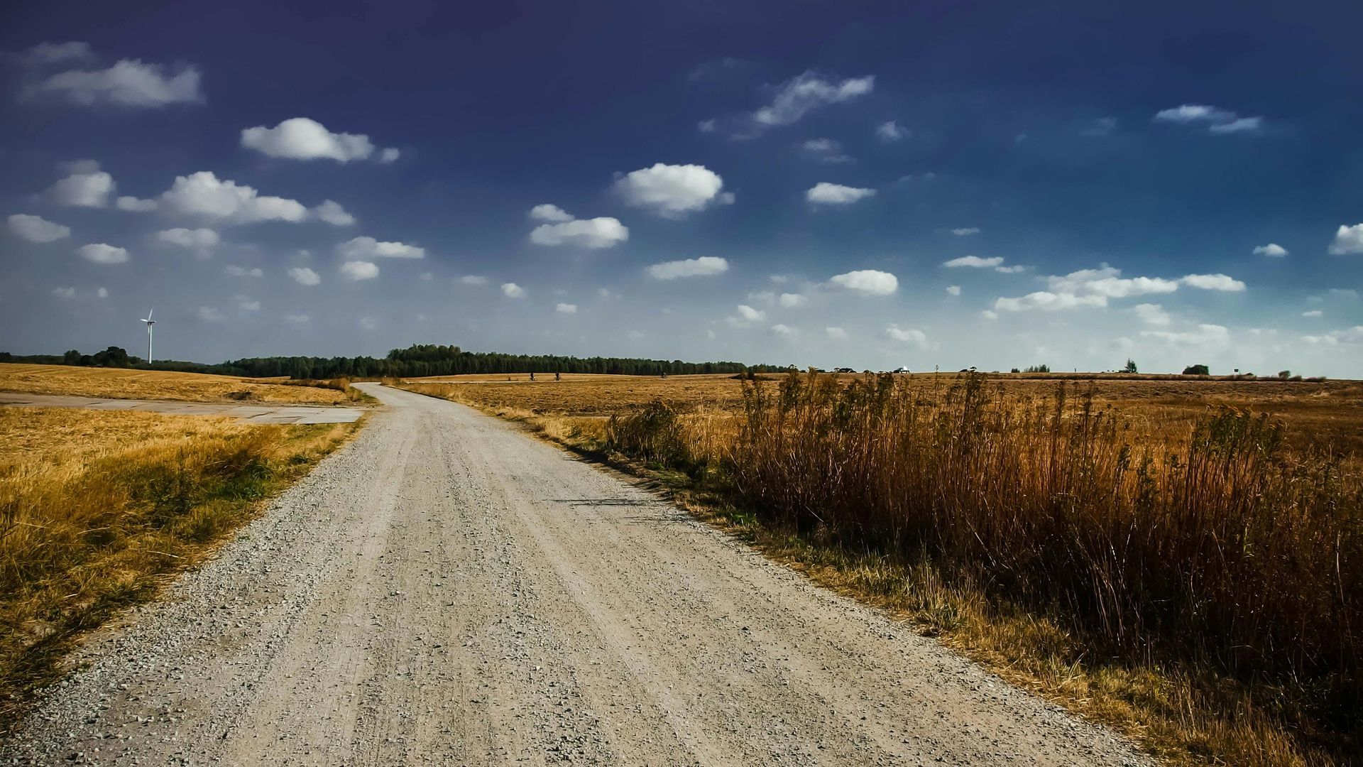 Dirt road through a field under a partly cloudy blue sky.