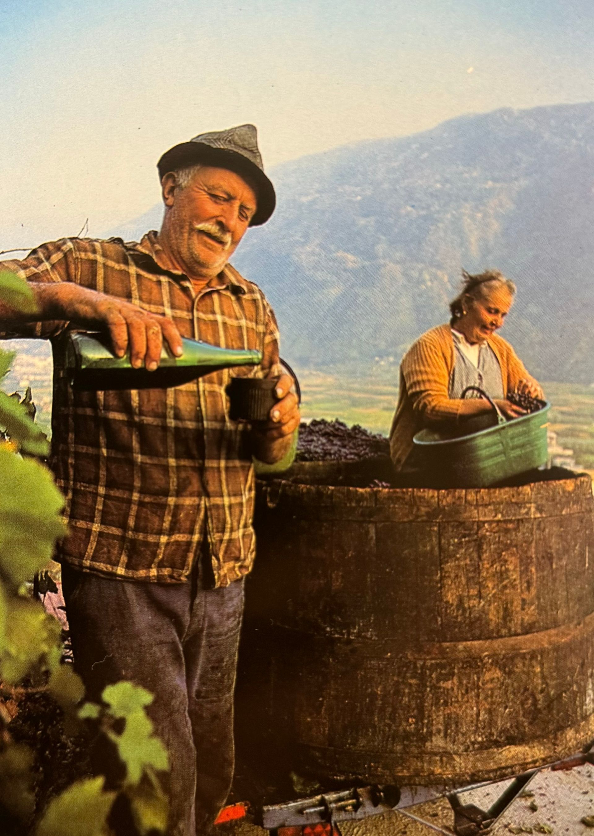 Tre bottiglie di vino rupi sono allineate una accanto all'altra
