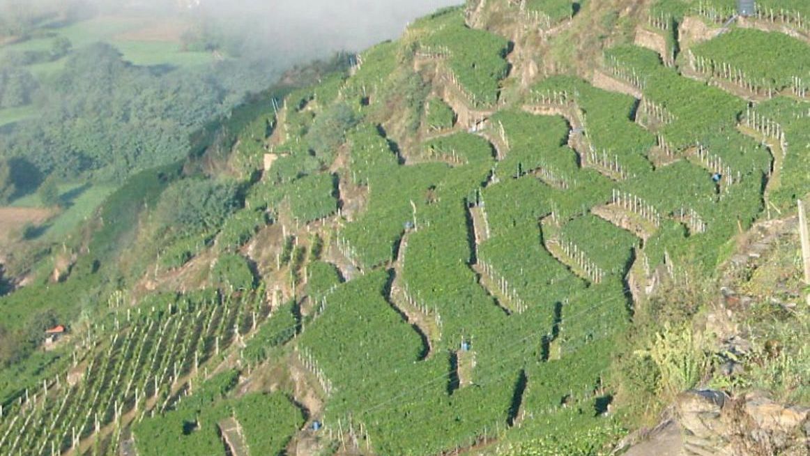 Una vista di una collina verdeggiante con nuvole sullo sfondo