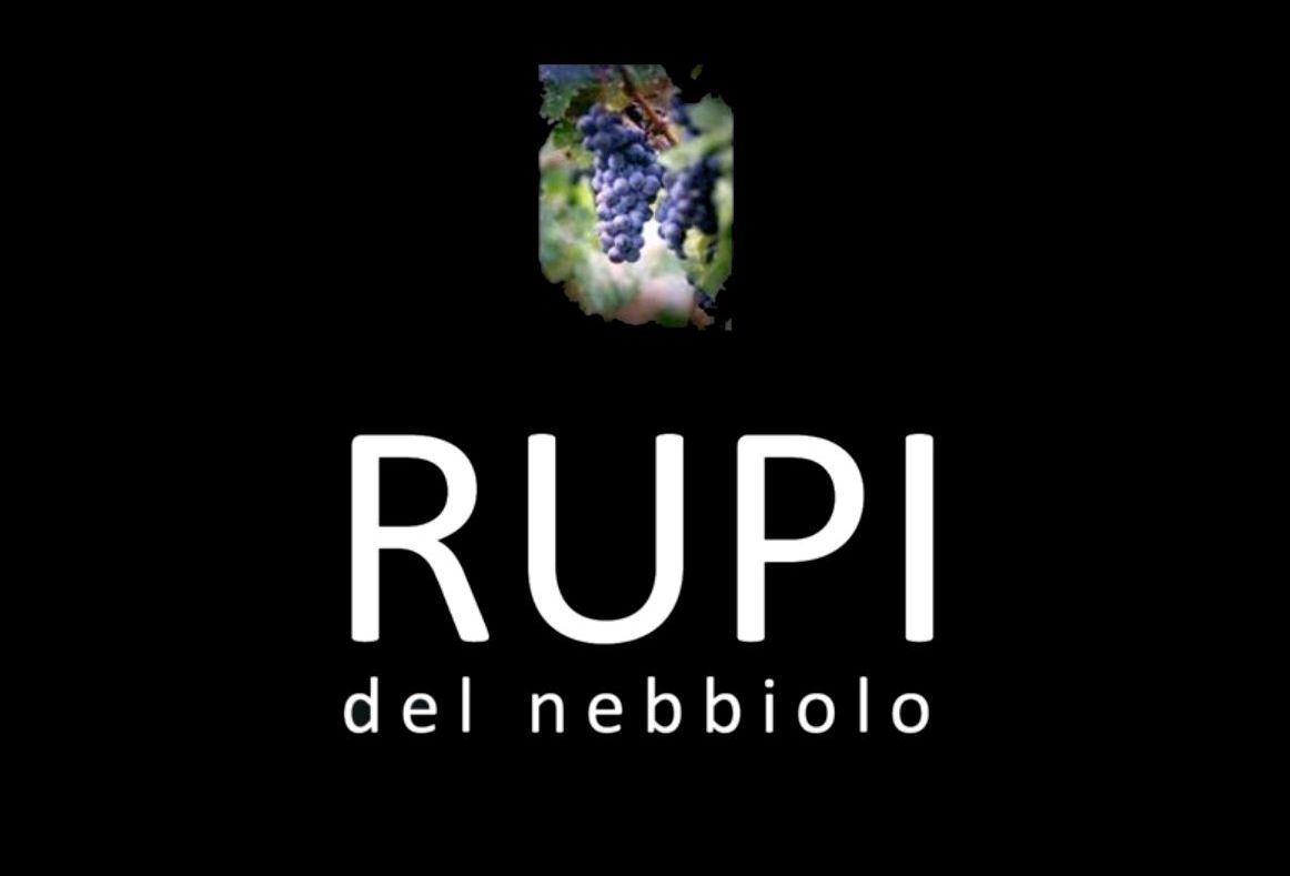 Un grappolo d'uva viola appeso a una vite.