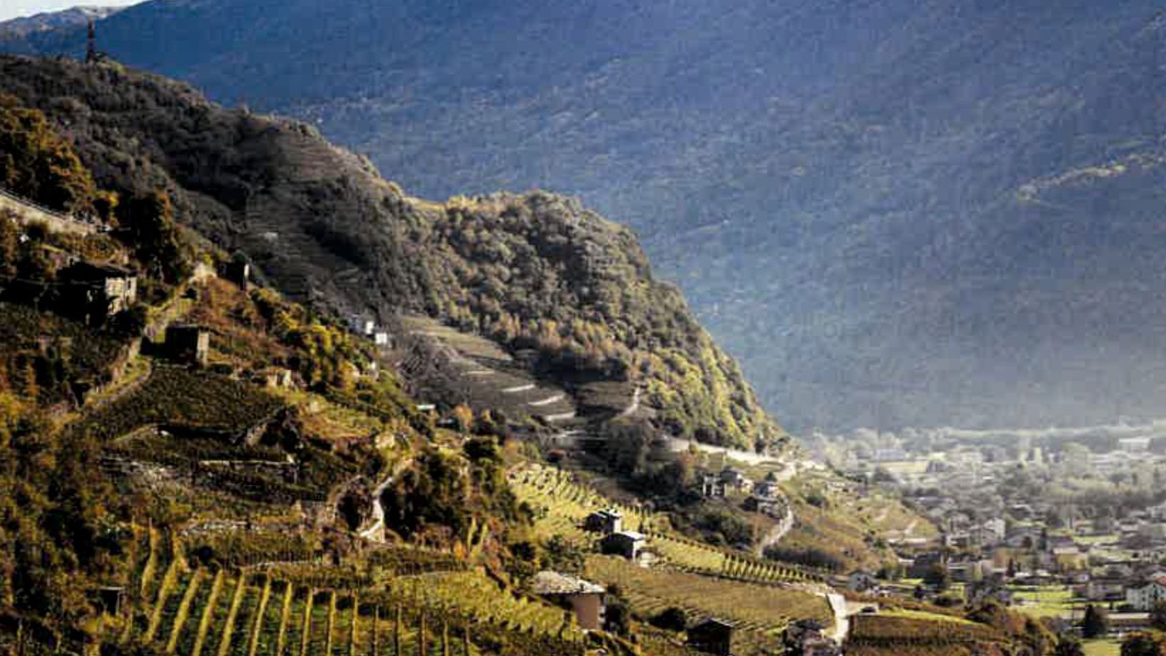 Una vista di una valle con le montagne sullo sfondo
