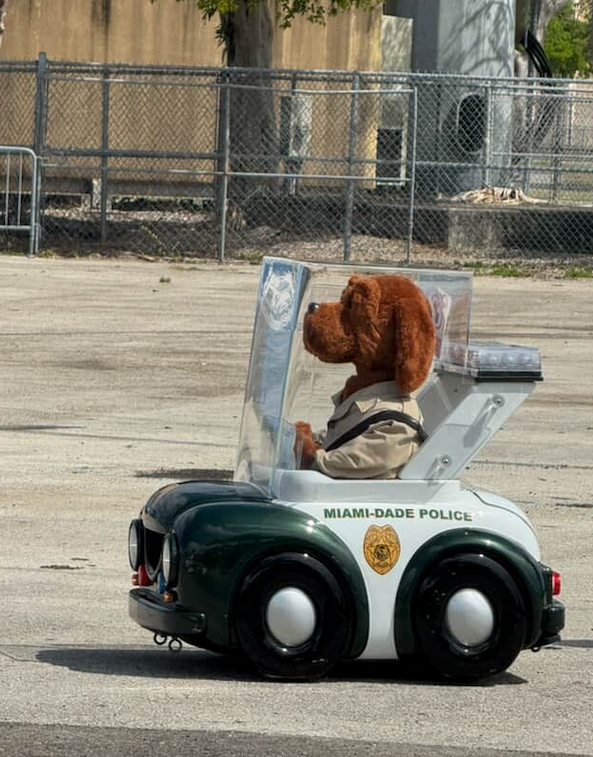 A stuffed dog wearing a police uniform drives a toy Miami-Dade Police car.