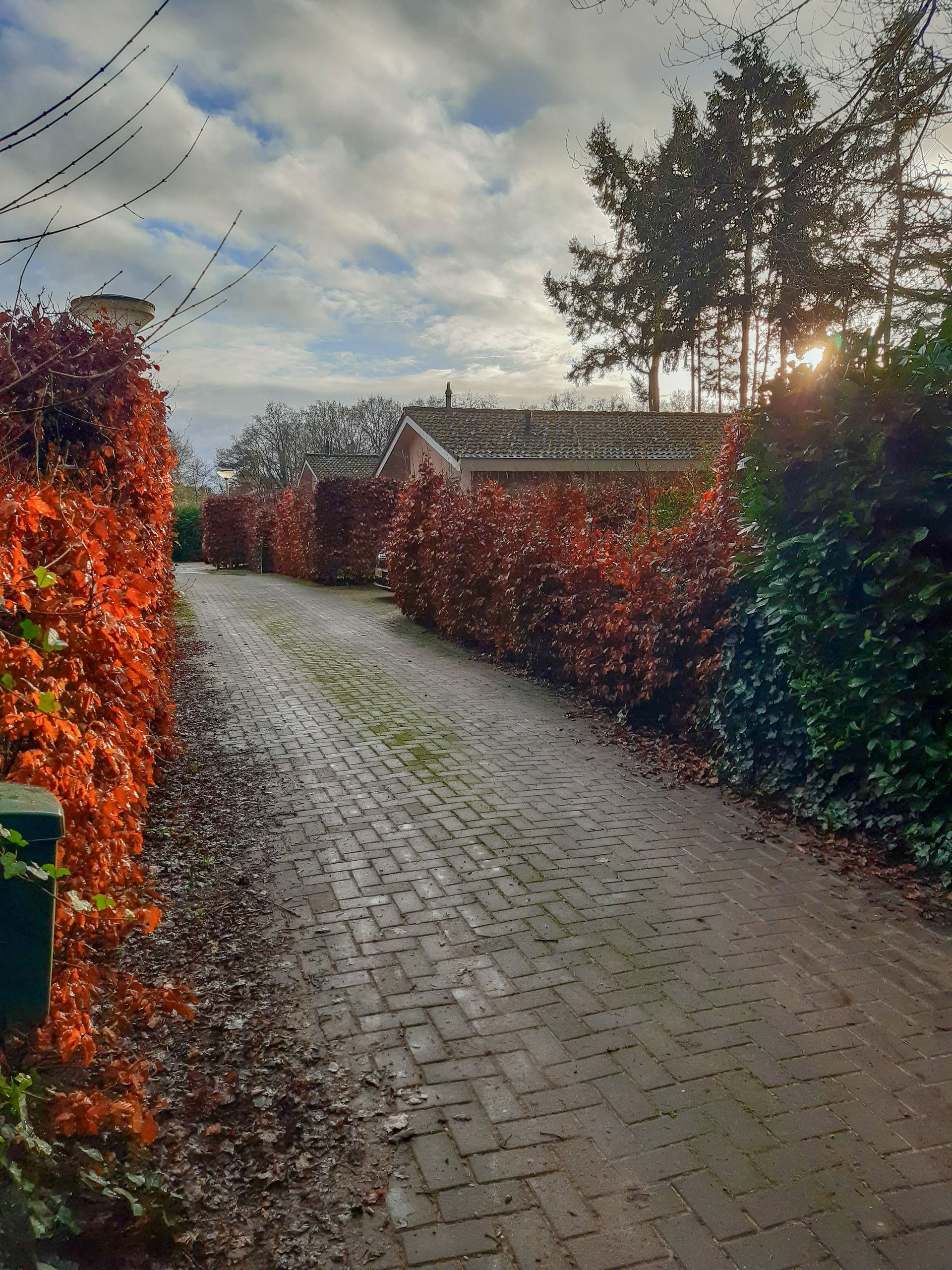 Een oprit van bakstenen, omgeven door bomen en struiken op een bewolkte dag.