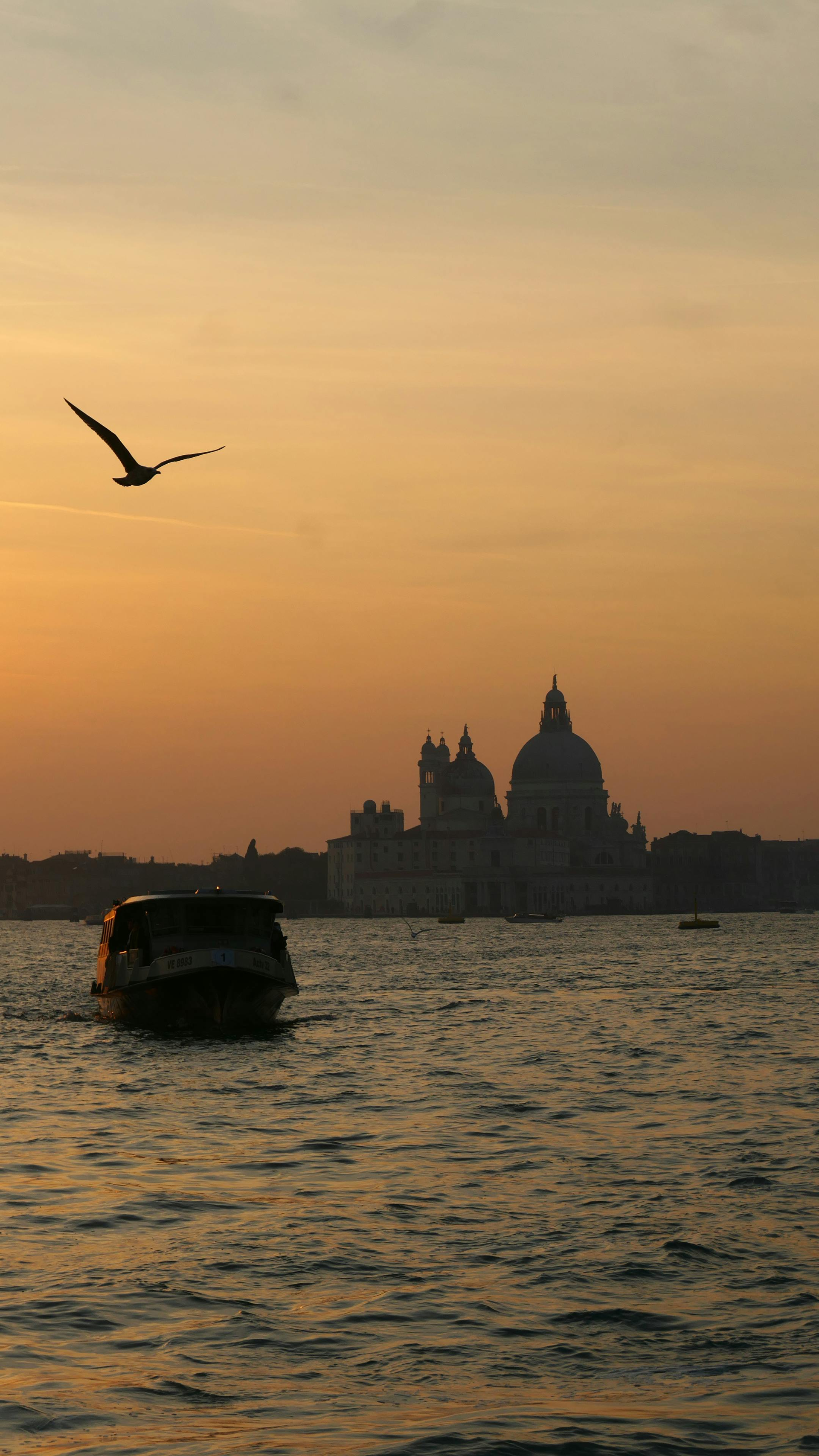 Sonnenuntergang über der Lagune von Venedig mit einer Gondel, einer Möwe und der Silhouette einer Kuppelkirche