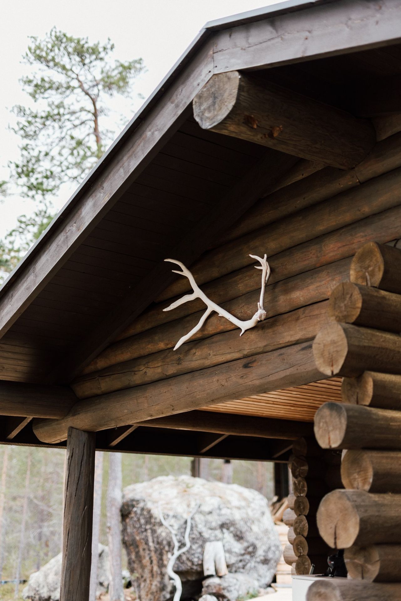 A deer antlers hanging from the roof of a log cabin.