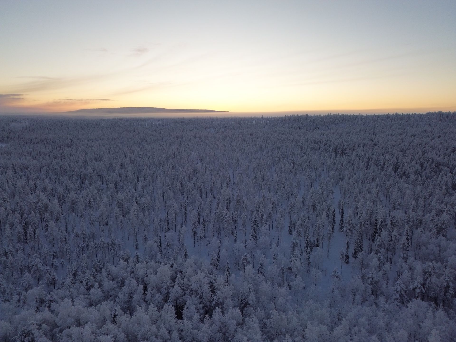 An aerial view of a snowy forest at sunset