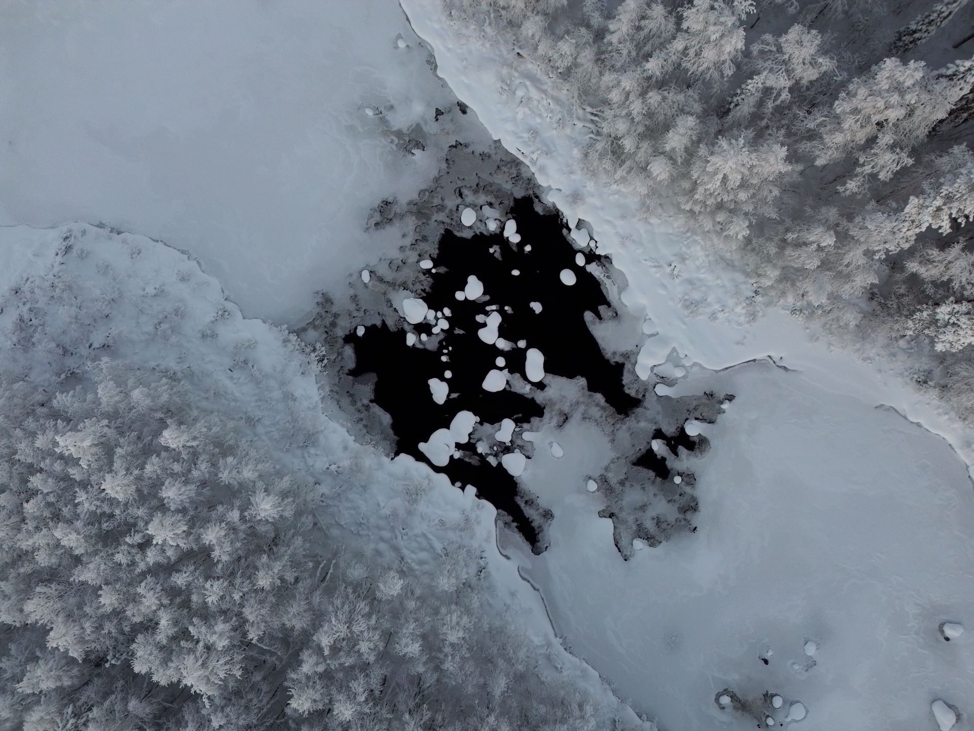 An aerial view of a snowy forest with trees covered in snow