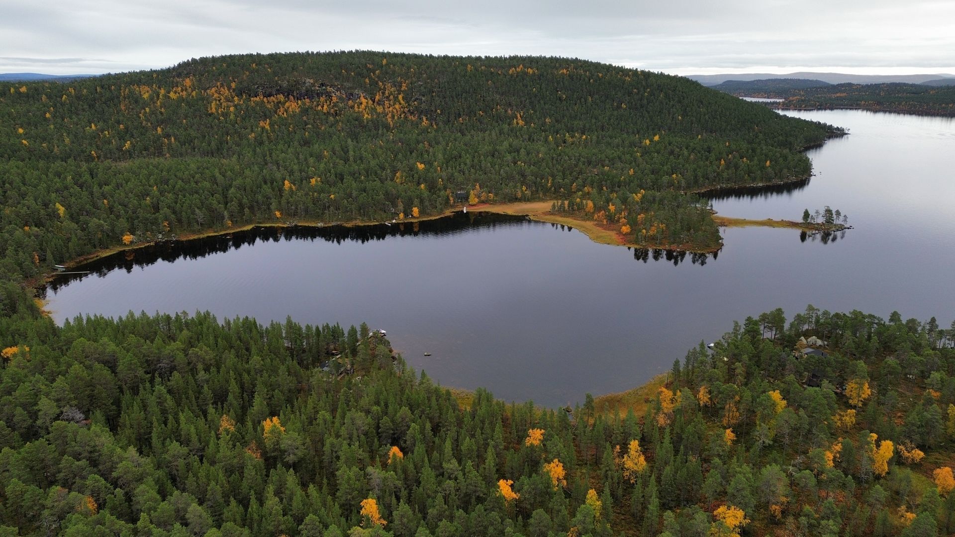 Lake surrounded by evergreen forest and a hill with birch trees showing autumn colours