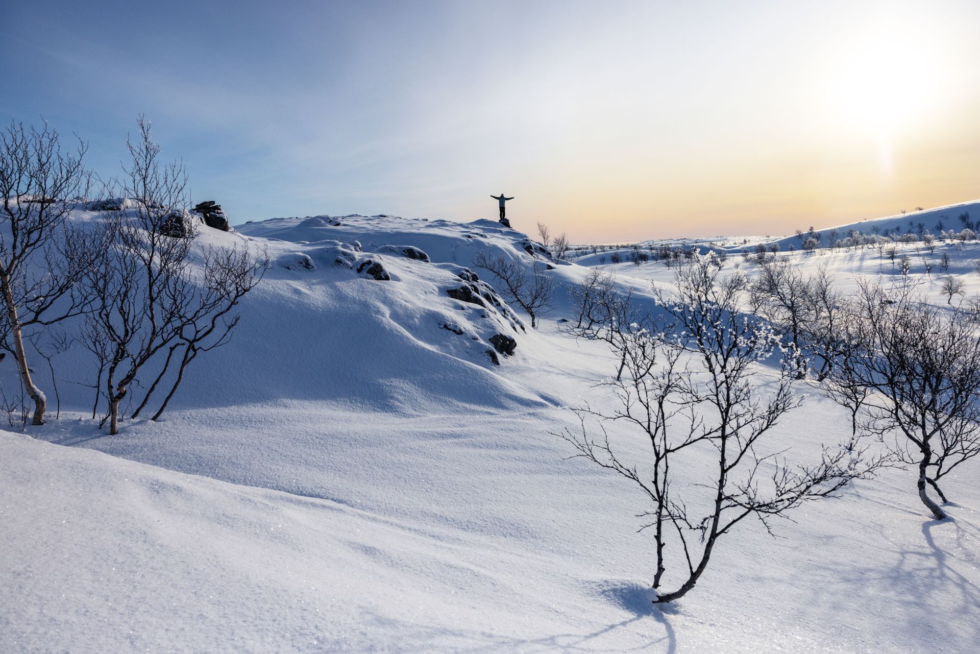 Snowy landscape with bare trees, person on a hill against a bright sky.