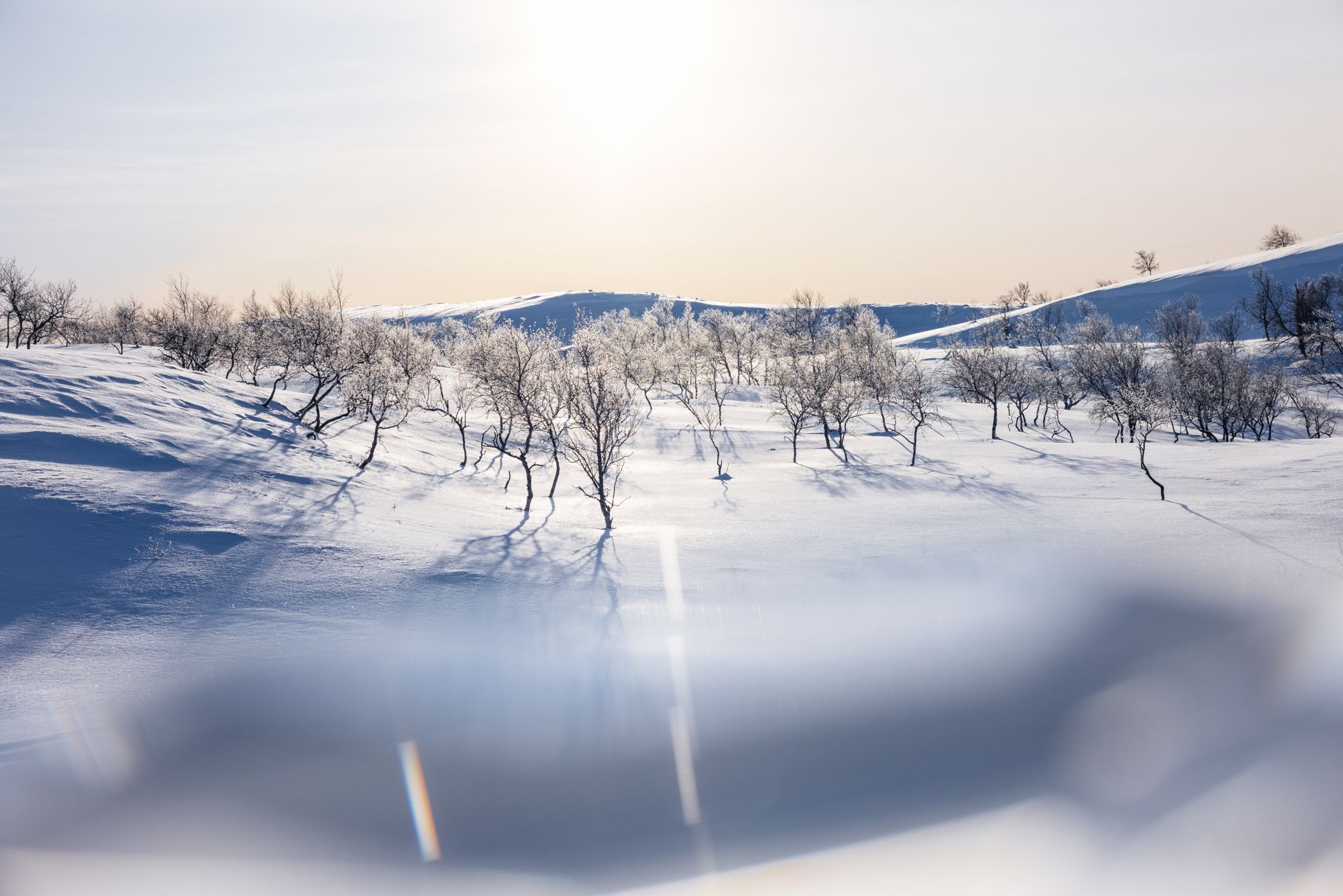 Snowy landscape with frosted trees under a bright sun.