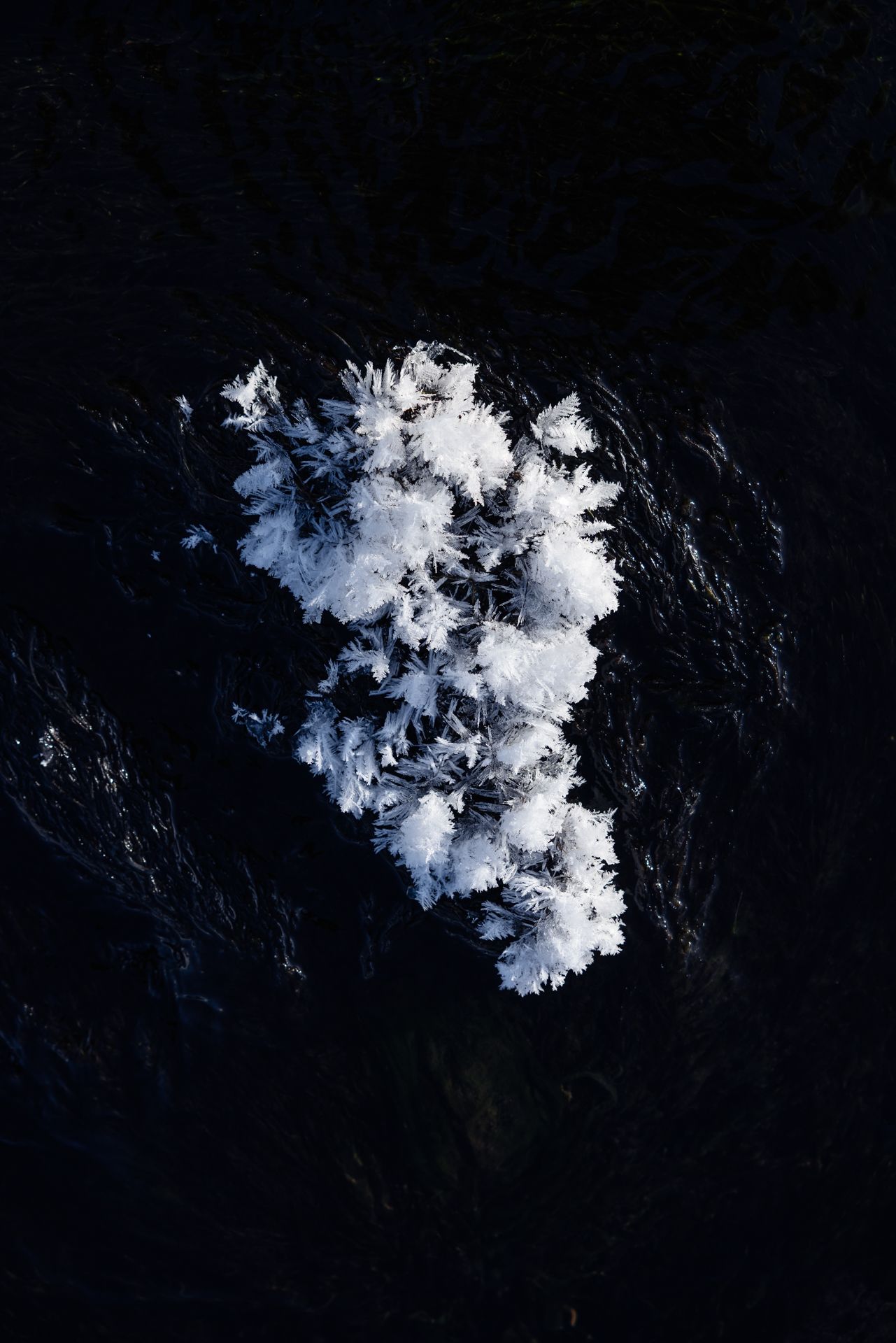 White ice formation on dark water.