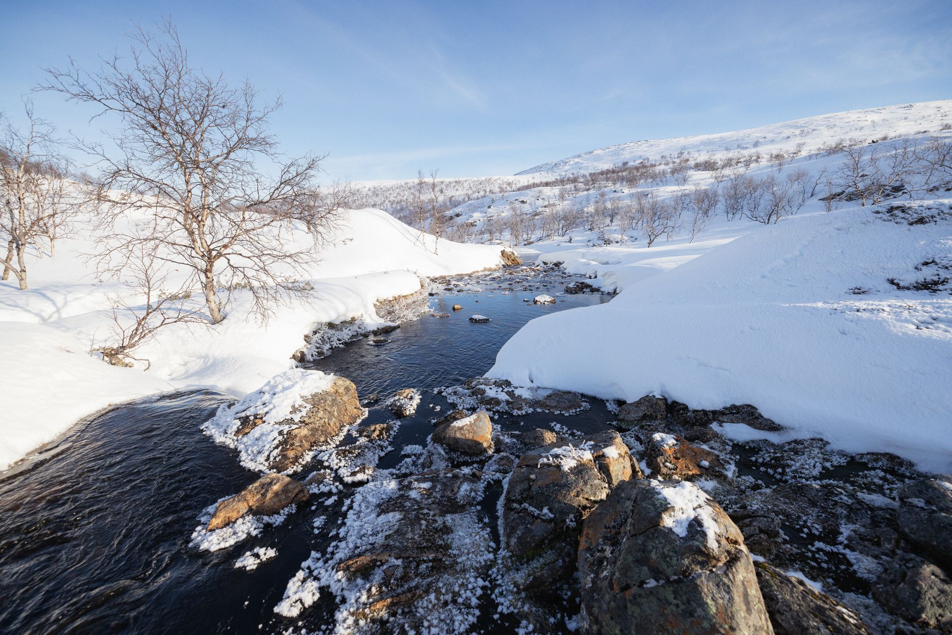 Snowy landscape with a stream flowing through, bare trees and snow-covered hills under a blue sky.