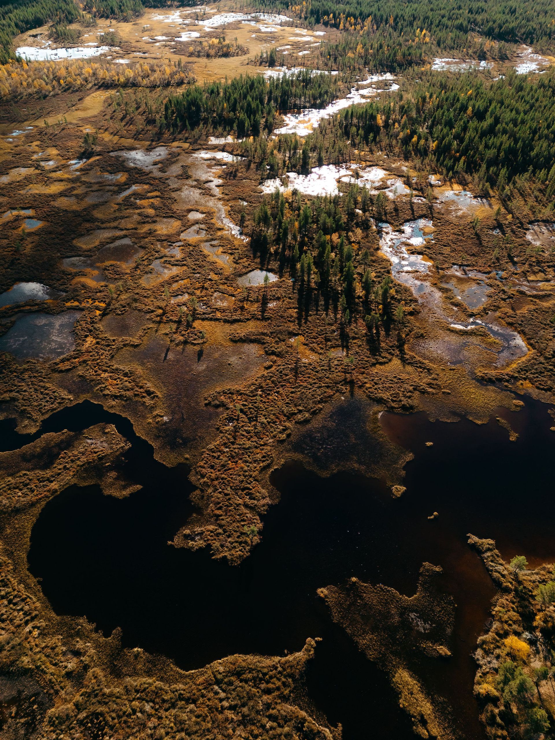 An aerial view of a swamp with trees in the background