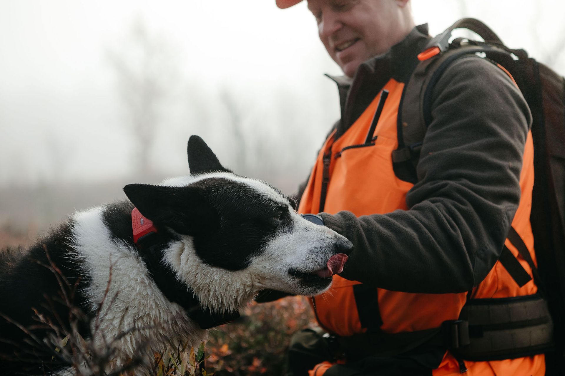 Man in orange vest pets a black and white dog outdoors, foggy background.
