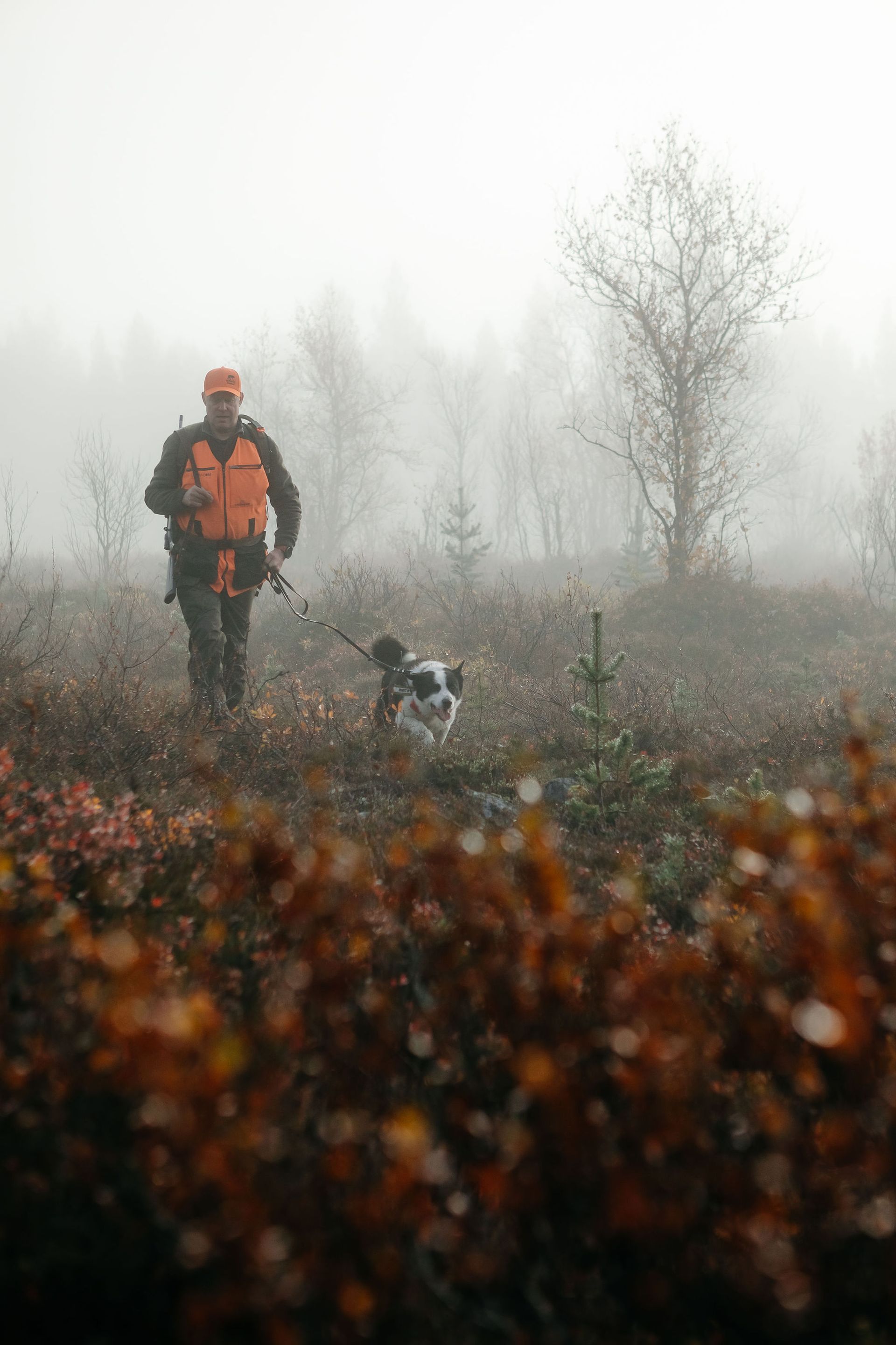Hunter in orange vest walks through foggy woods with dog on leash.