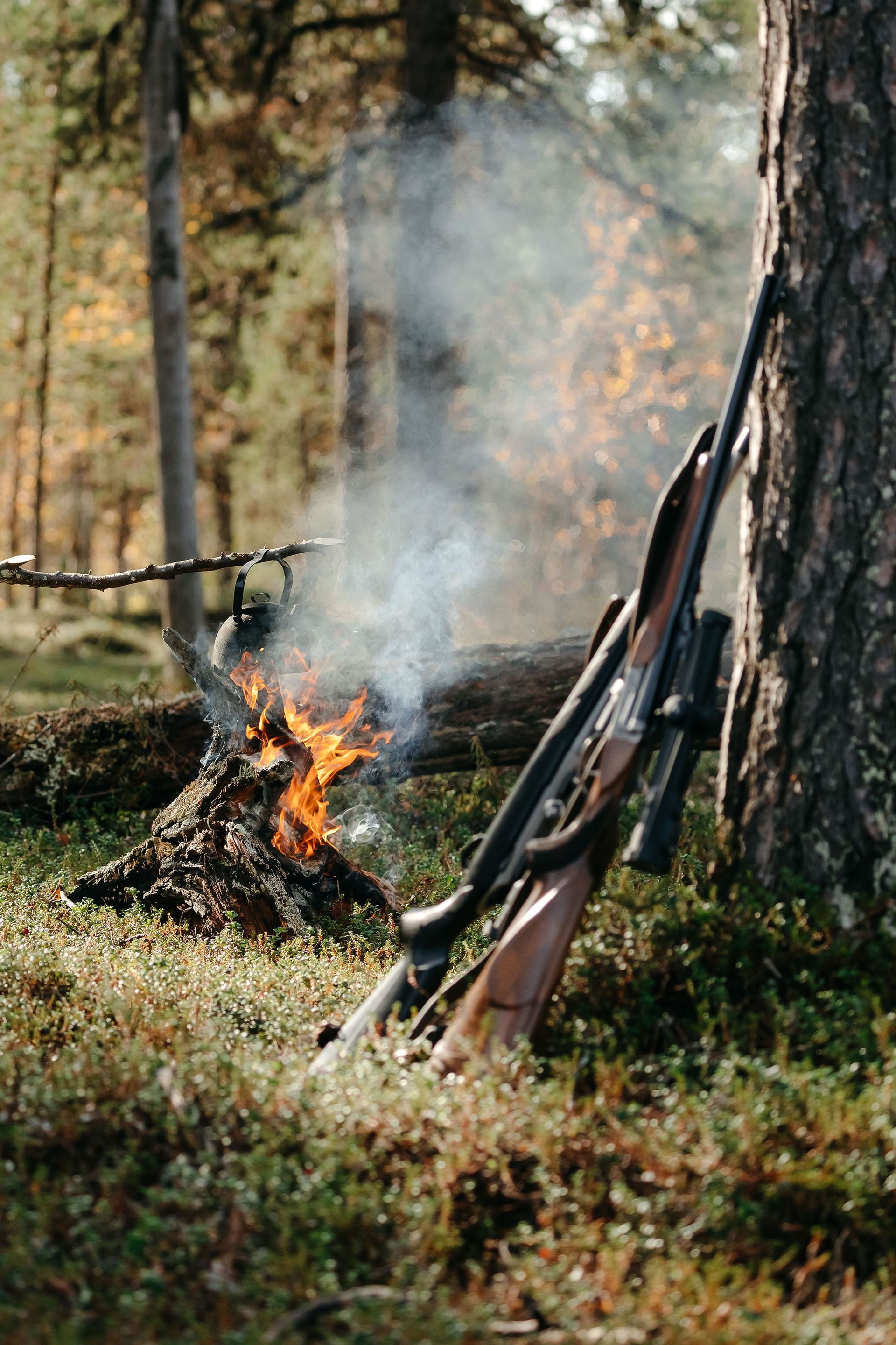 A campfire roaring with hunting riffle leaning against a tree