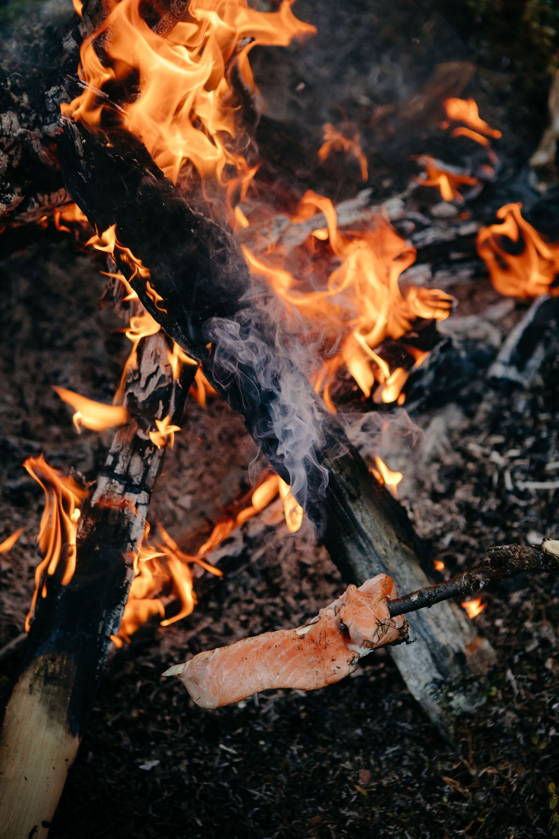 A piece of meat is cooking on a campfire.
