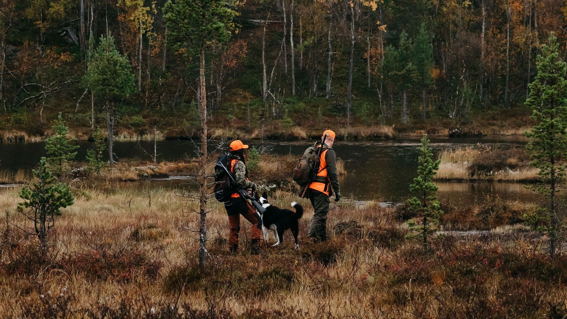 Two hunters with dog in a swampy forest; wearing orange vests, carrying packs, and walking near a pond.
