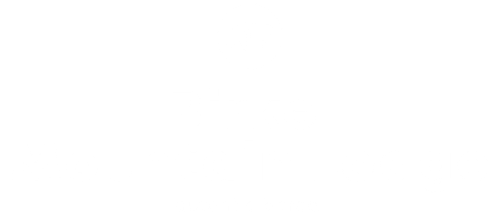 Logo of a white, stylized feather.