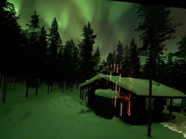 northern lights in snowy forest behind a wooden cabin