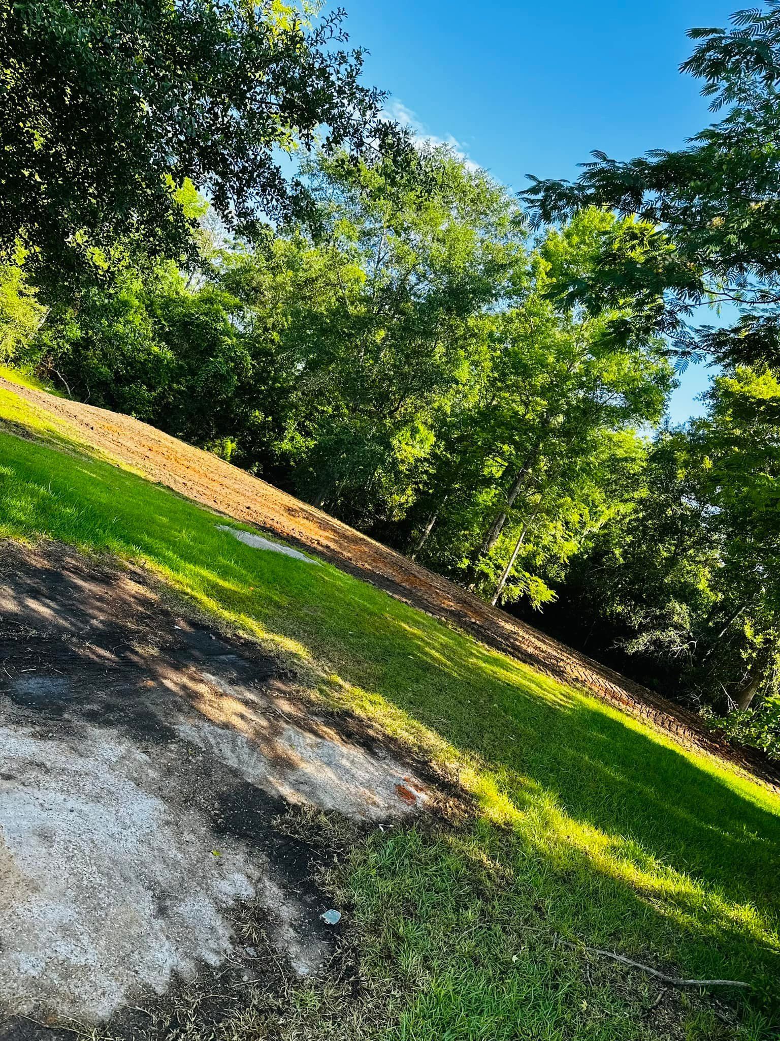 Green grassy hillside with trees against a blue sky; sunlight creates shadows.