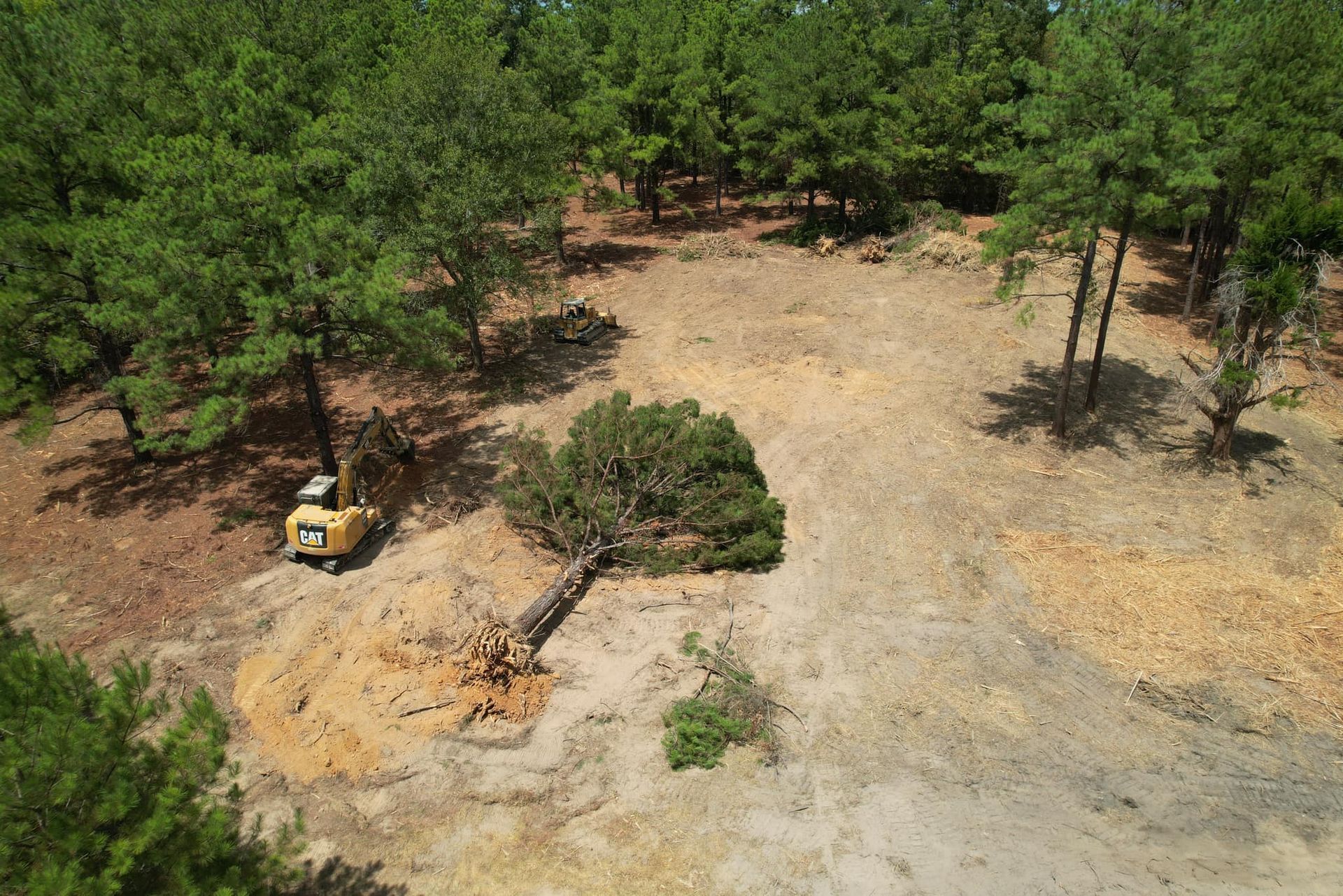 A small bulldozer clearing trees in a wooded area with patches of dirt and green trees.