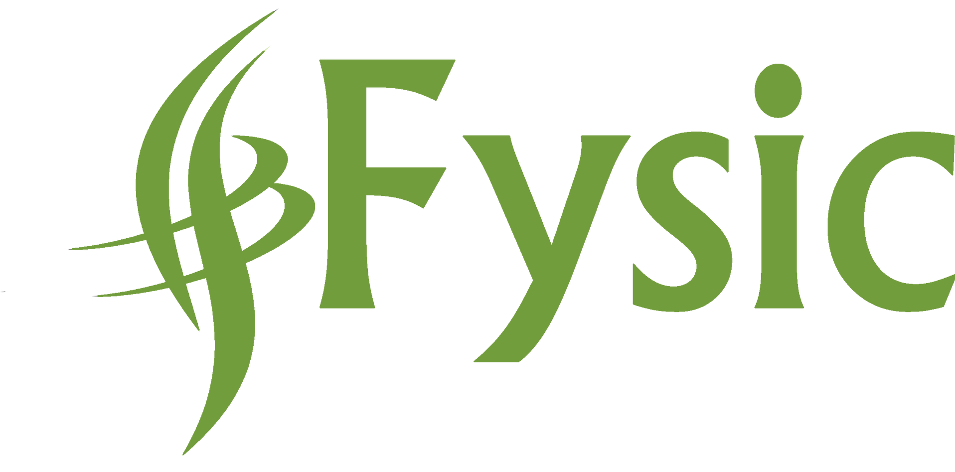 logo fysic fysiotherapie Breda