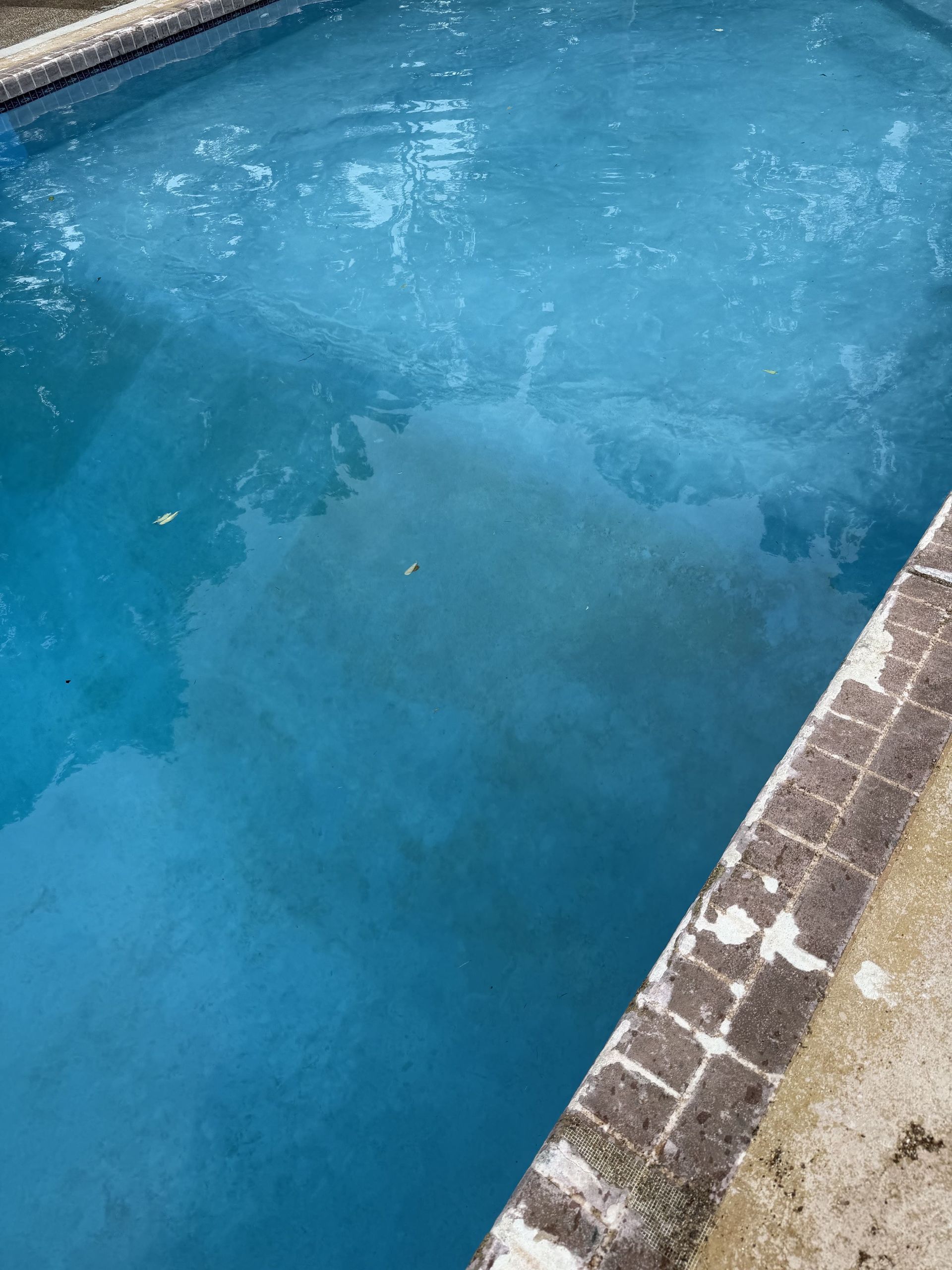 Blue swimming pool water beside a brick-tiled edge with light ripples