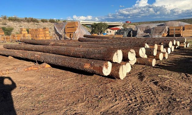 Distribuidora y Productos de Maderas de Durango 