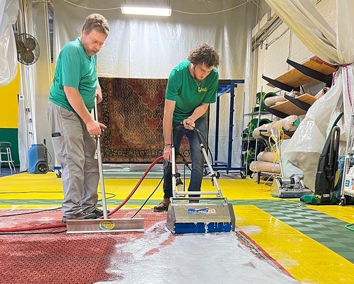 Two people cleaning a rug with a machine. One operates the cleaner, other uses a large brush.