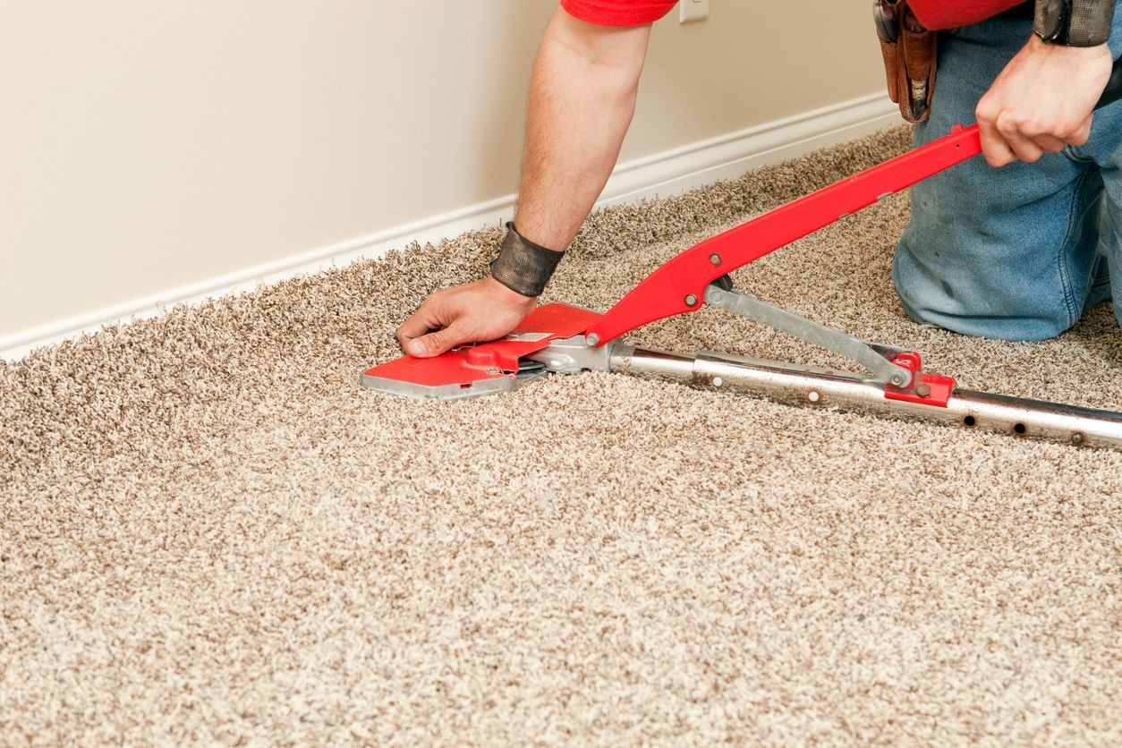 Installing carpet with a red stretch tool near a wall, kneeling on beige carpet Blue Bell, PA