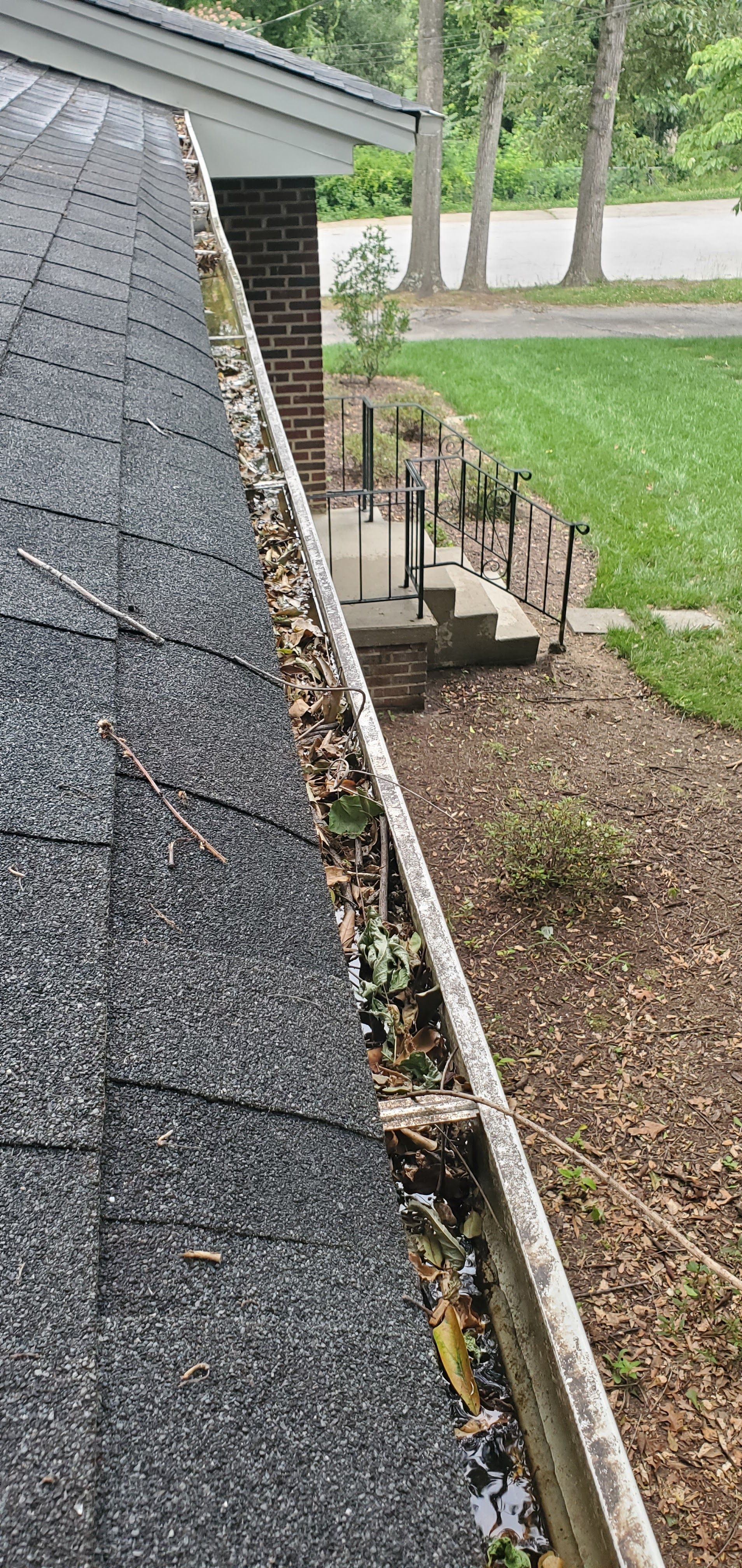 Roof gutter with leaves beside a house, overlooking a grassy yard and driveway.