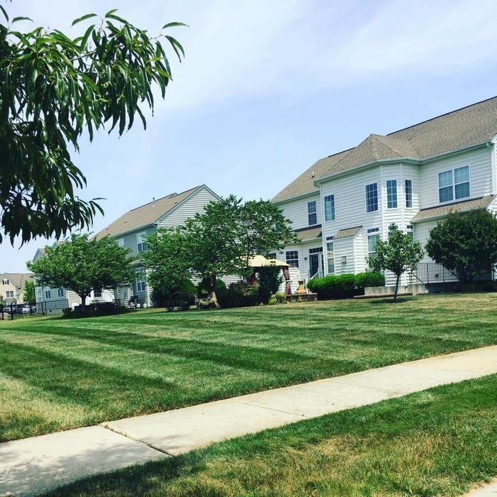 A green lawn mower is cutting a lush green lawn