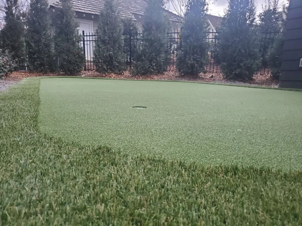 Backyard lawn covered in frost, bordered by trees and a house in the background