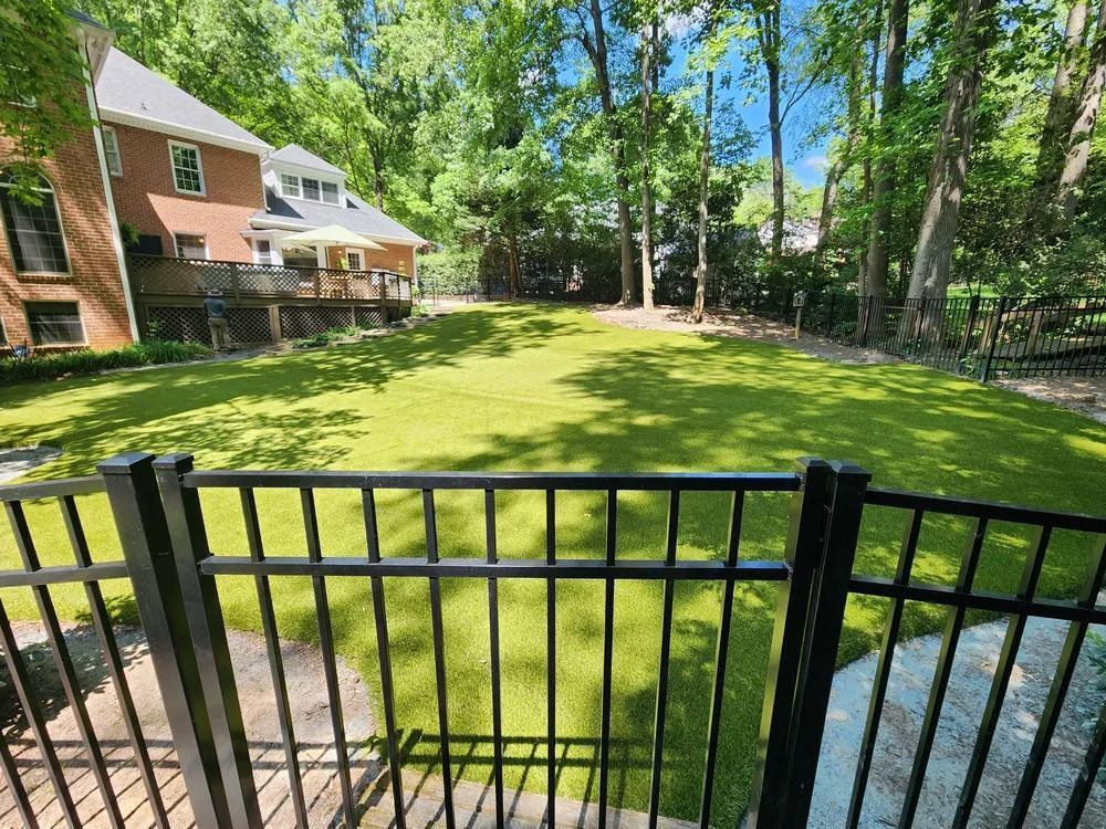 Backyard lawn with black metal fence, brick house, and trees in bright sunlight