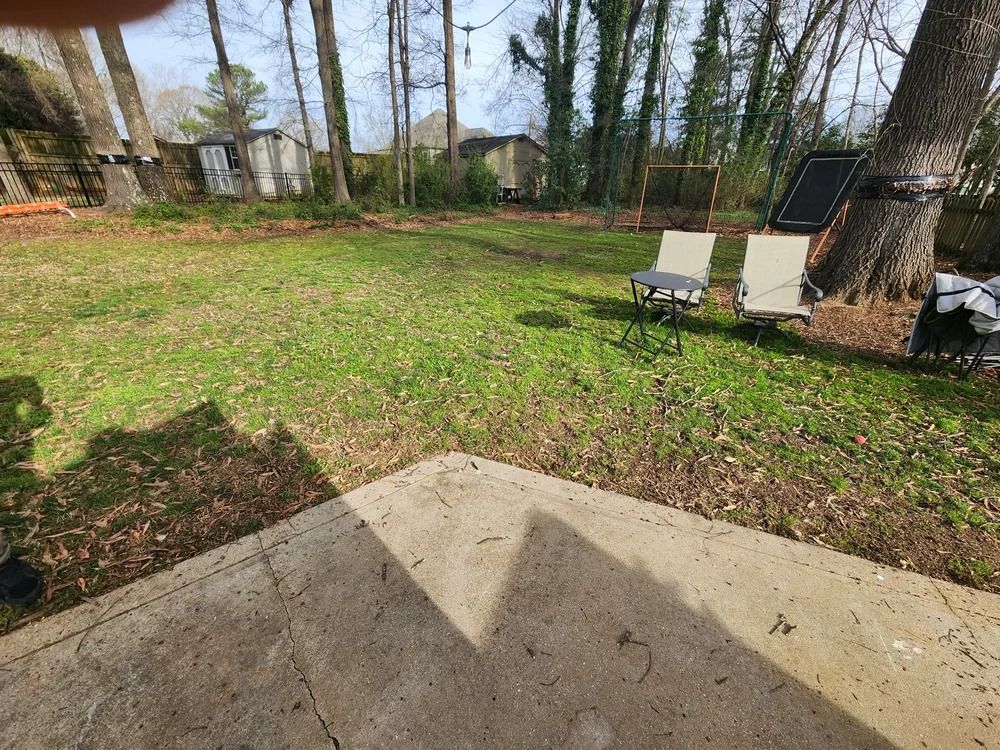 Backyard with green grass, trees, concrete patio, and two white chairs near a tree stump