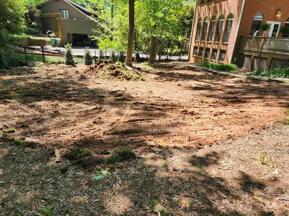 Dirt-covered yard with scattered trees and a wooden building in the background