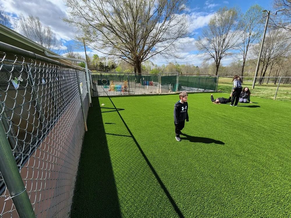 Child on artificial turf near a chain-link fence, with trees and people in the background on a sunny day