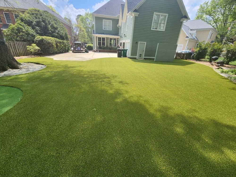 Bright green lawn in a suburban backyard with a green house and trees on a sunny day