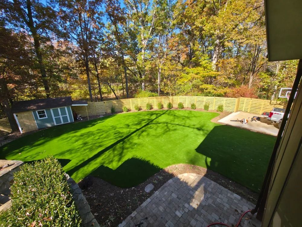 Backyard with bright green lawn, autumn trees, shed, and patio in warm sunlight