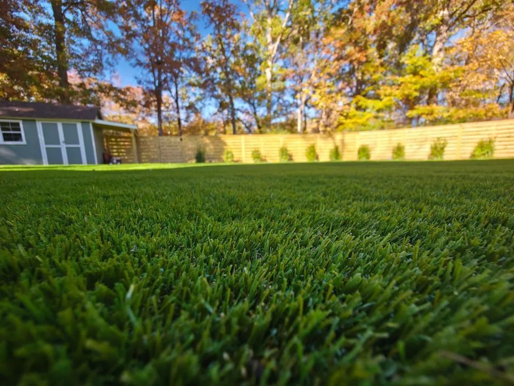 Close-up of green grass in a backyard with a house, fence, and autumn trees in the background