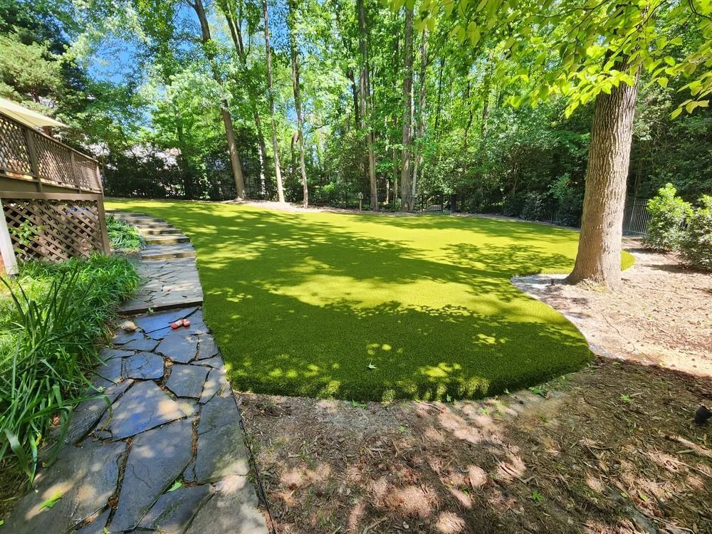 Sunny backyard with stone path, green lawn, and tall trees along a wooded edge